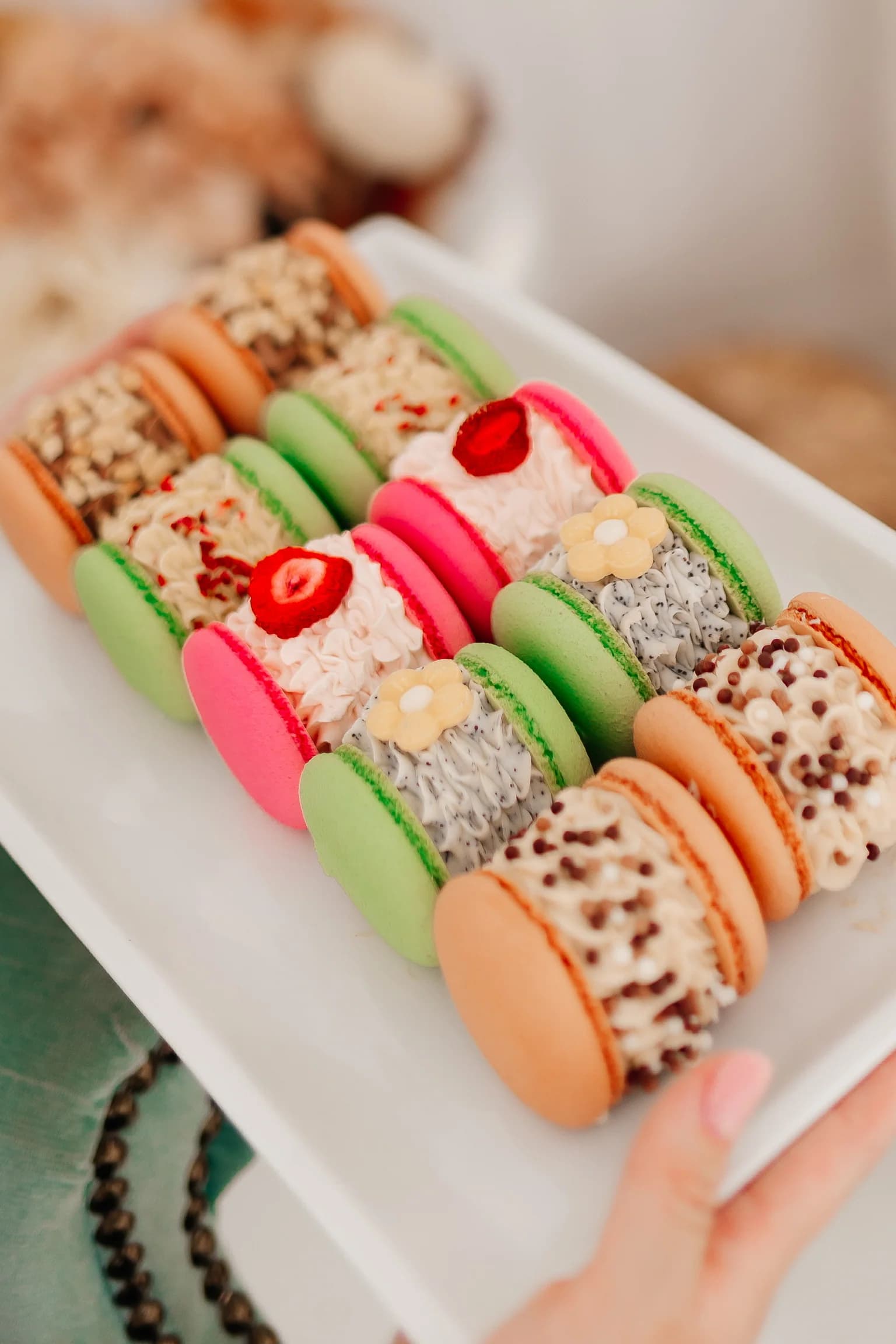 A plate of macarons being held