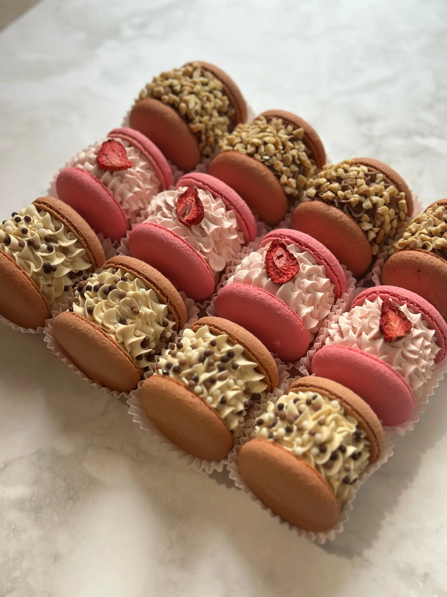 Pink macarons in a grid